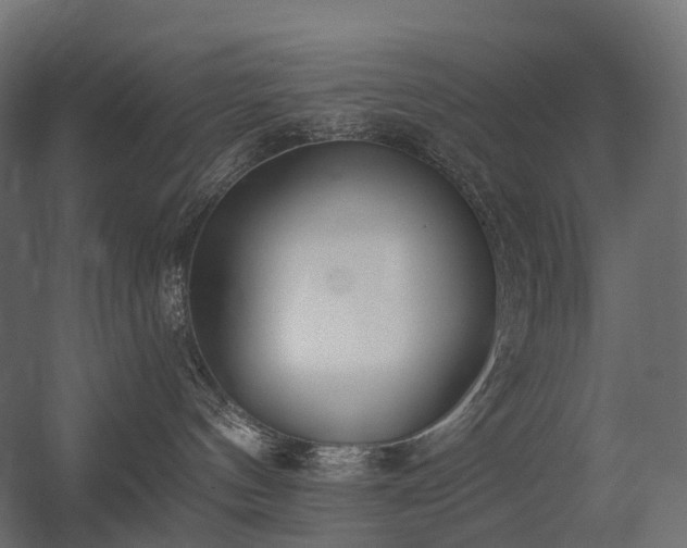X0000056310144200509021547
