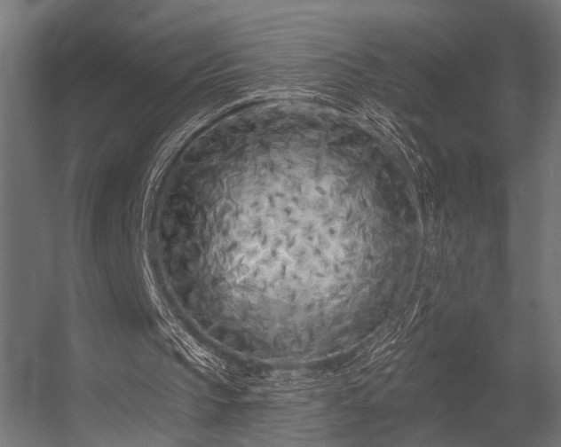 X0000056310145200509021546