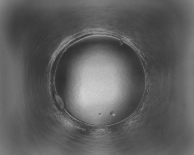 X0000056310151200509021546
