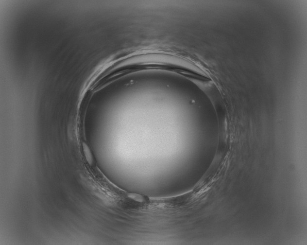 X0000056310152200509021546
