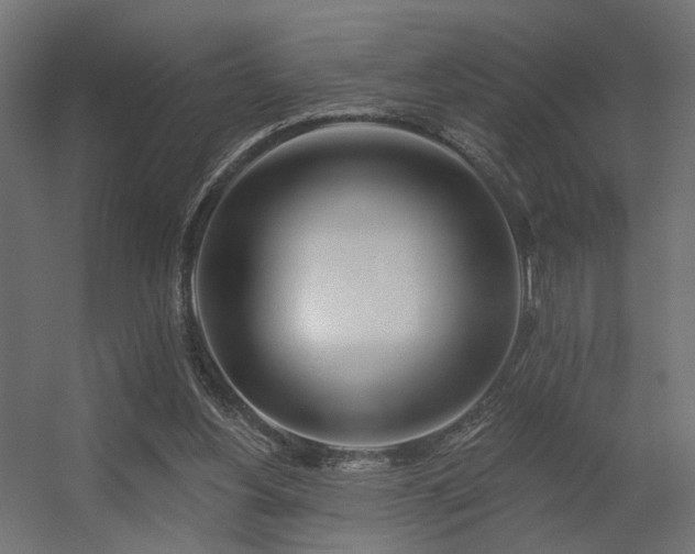 X0000056310156200509021546