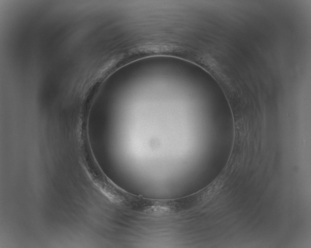 X0000056310159200509021546