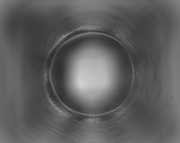 X0000056310160200509021546
