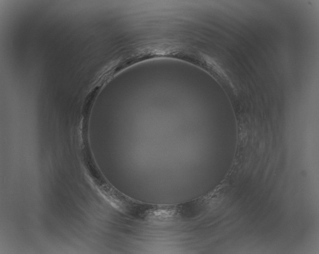 X0000056310163200509021546