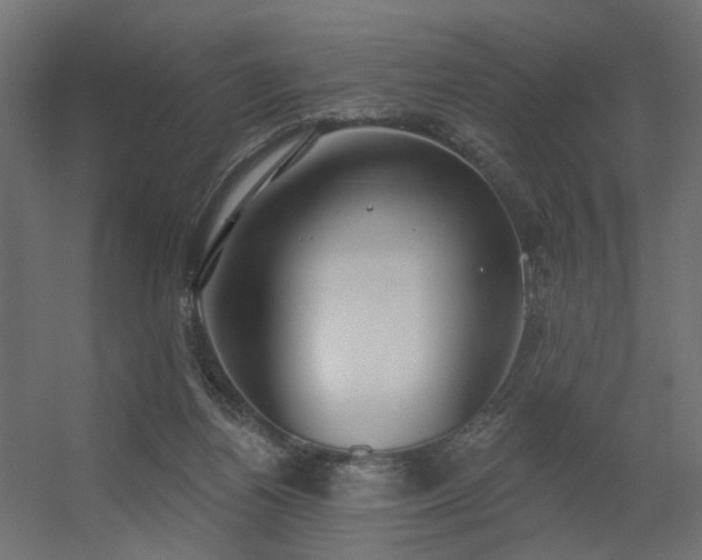 X0000056310164200509021546
