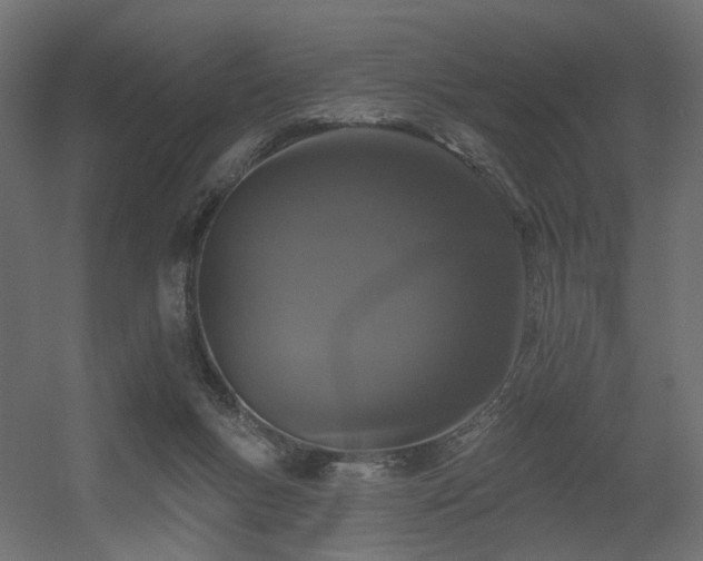 X0000056310167200509021546