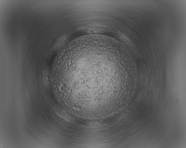 X0000056310169200509021546