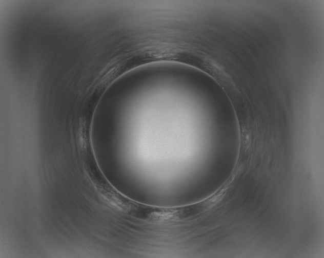 X0000056310170200509021546