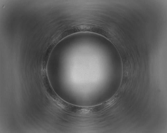 X0000056310176200509021546