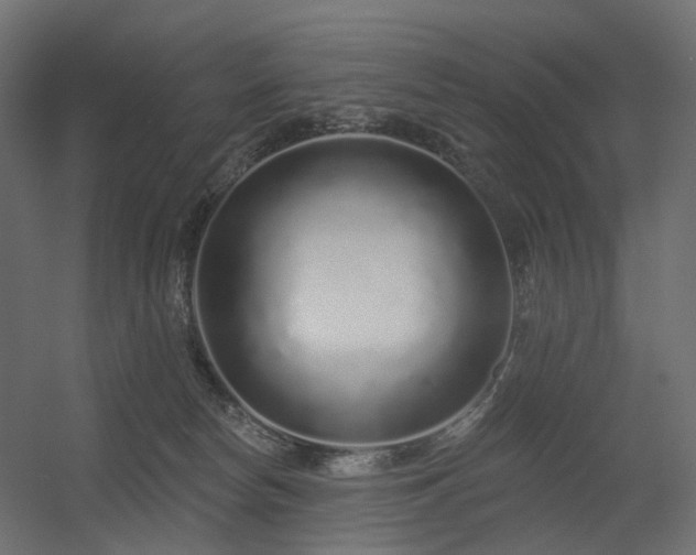 X0000056310178200509021546