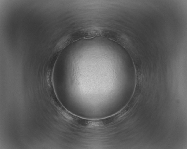 X0000056310185200509021546