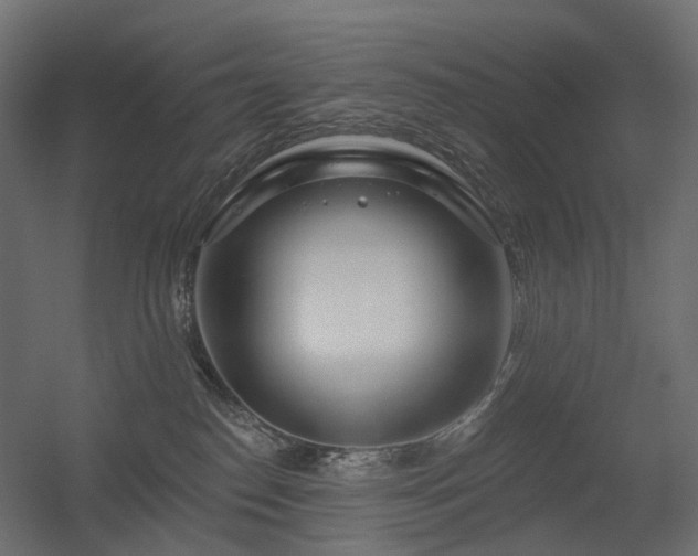X0000056310186200509021546