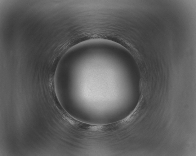X0000056310192200509021547