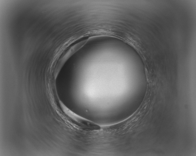 X0000056310193200509021546
