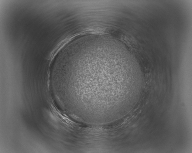 X0000056310194200509021546