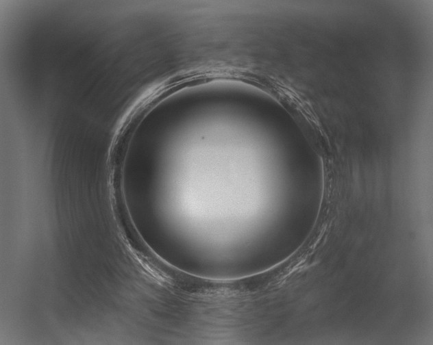 X0000056310197200509021546