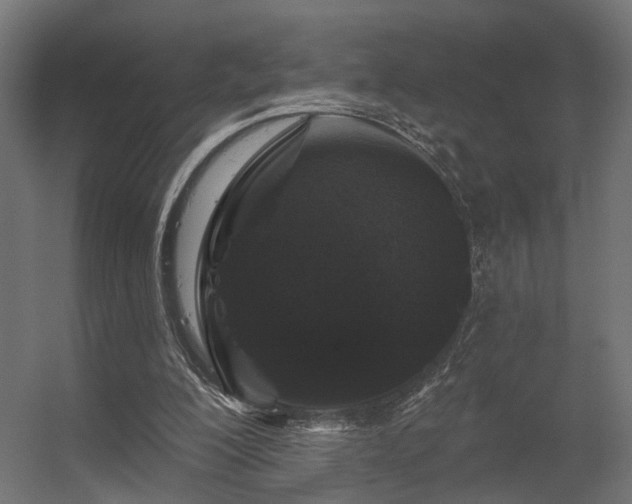 X0000056310200200509021546