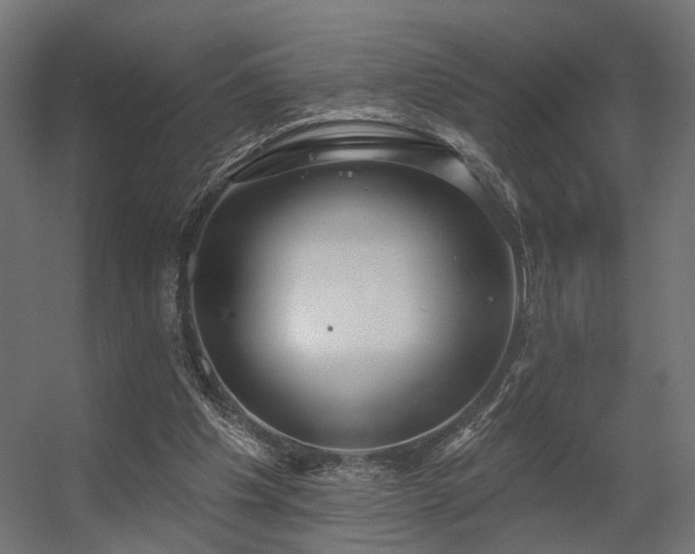 X0000056310201200509021546