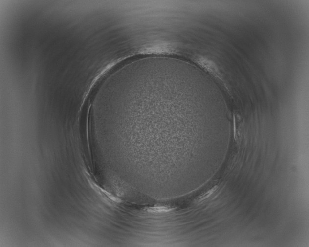 X0000056310204200509021546