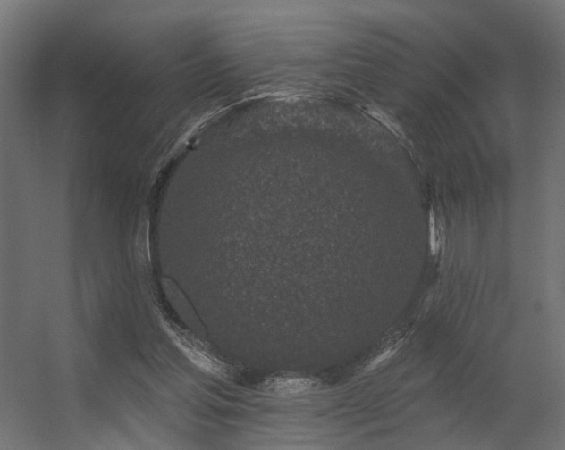 X0000056310205200509021546