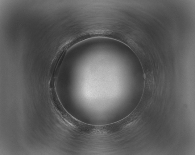 X0000056310207200509021545