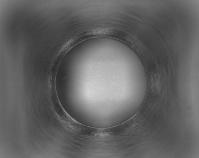 X0000056310208200509021545