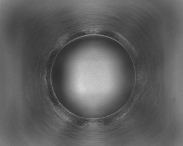 X0000056310209200509021545