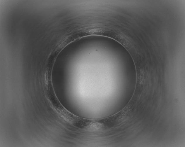 X0000056310210200509021545