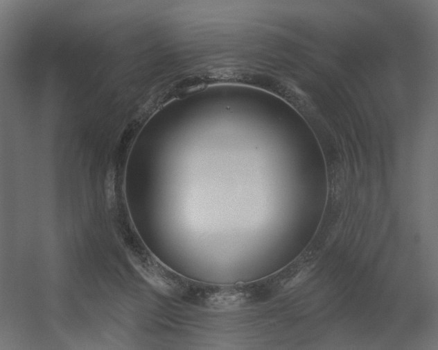 X0000056310213200509021545