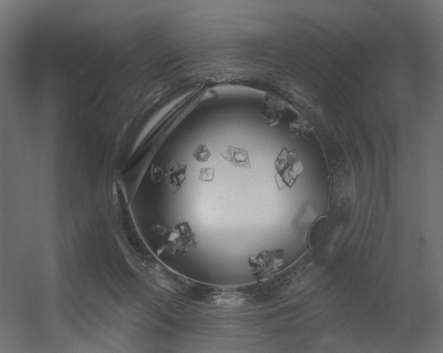 X0000056310214200509021545