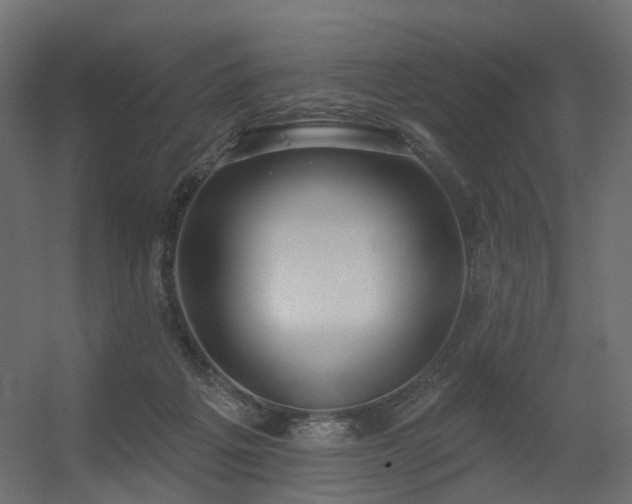 X0000056310217200509021545