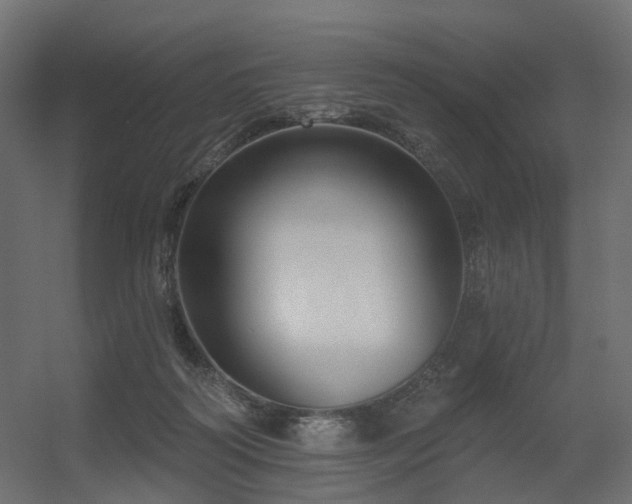 X0000056310218200509021545