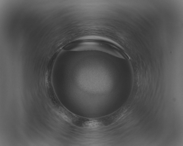 X0000056310219200509021545