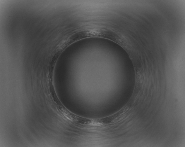 X0000056310223200509021545