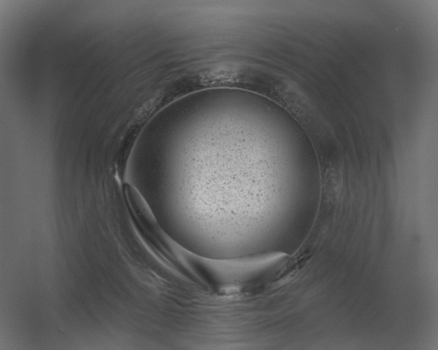 X0000056310224200509021545