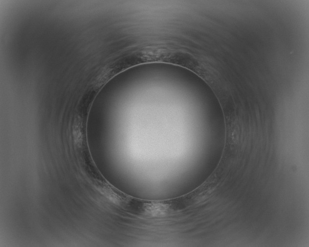 X0000056310226200509021545