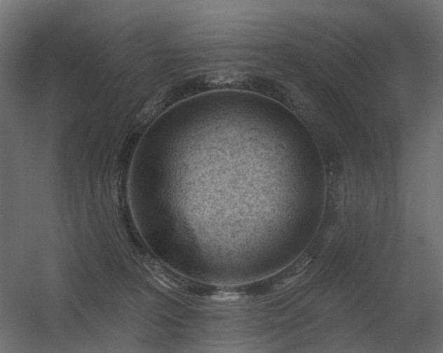 X0000056310227200509021545