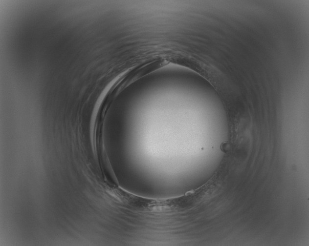 X0000056310228200509021545