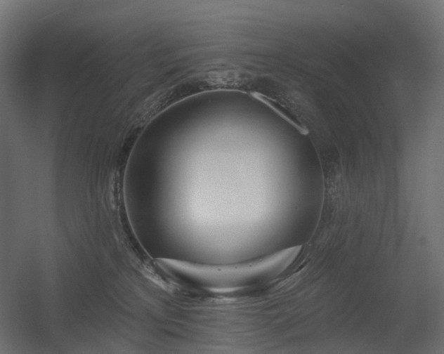 X0000056310233200509021545