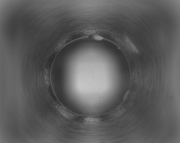 X0000056310234200509021545
