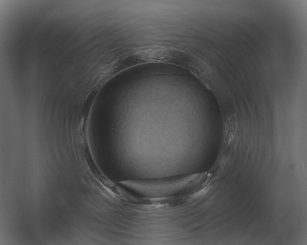X0000056310239200509021545