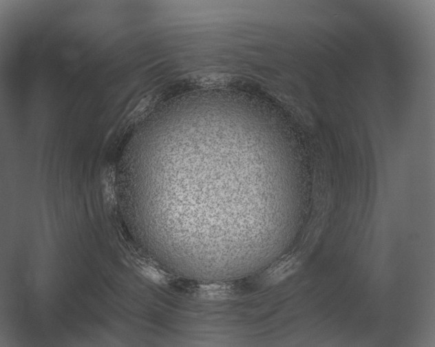 X0000056310240200509021545