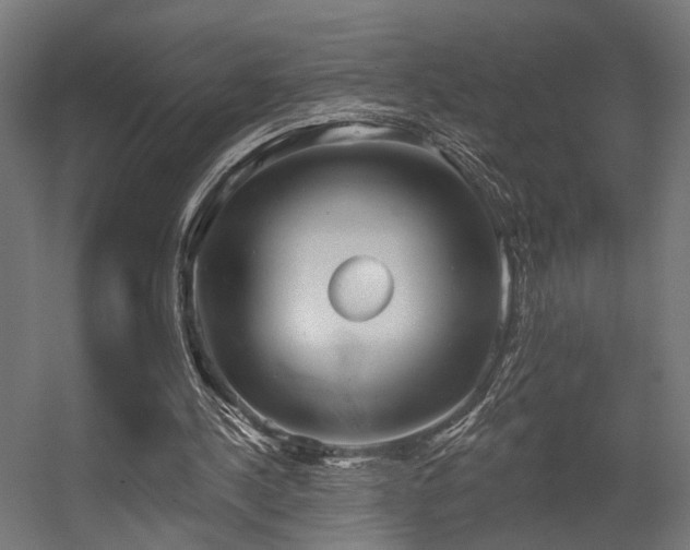 X0000056310244200509021544
