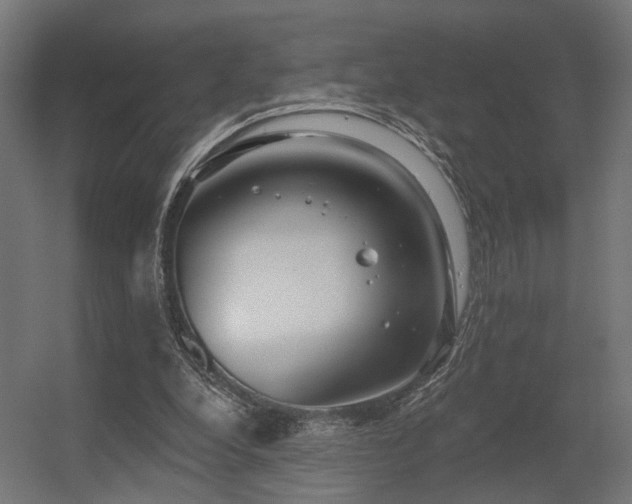 X0000056310248200509021544