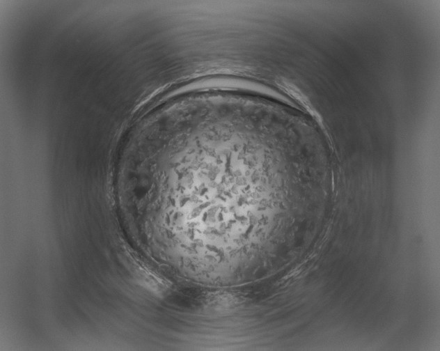 X0000056310249200509021544