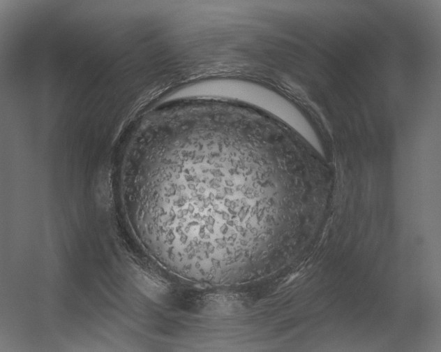 X0000056310250200509021544