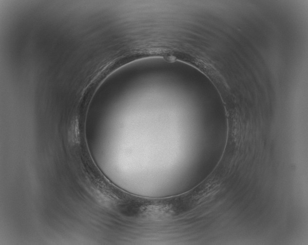 X0000056310251200509021544