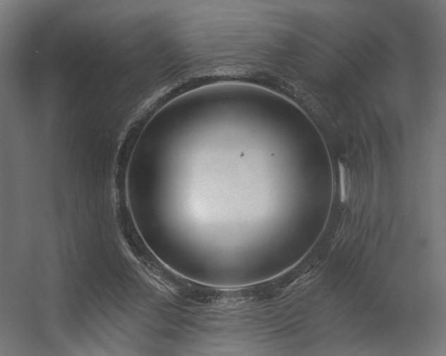 X0000056310252200509021544