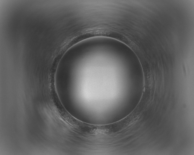 X0000056310255200509021544