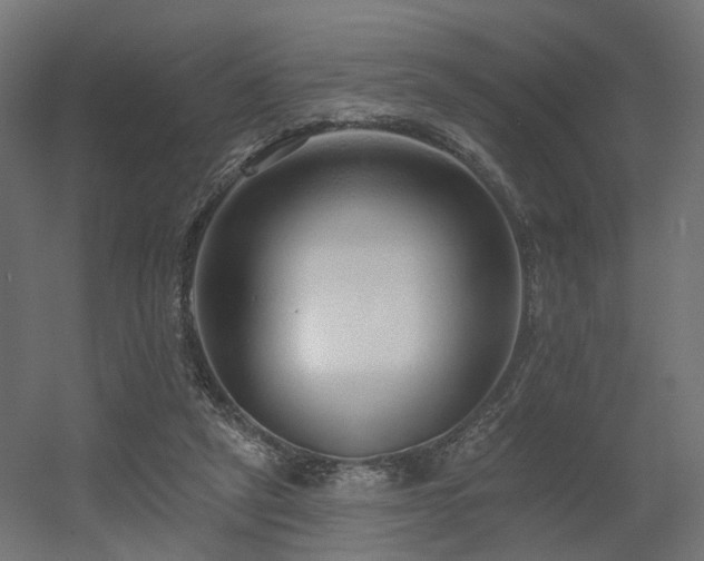 X0000056310257200509021544